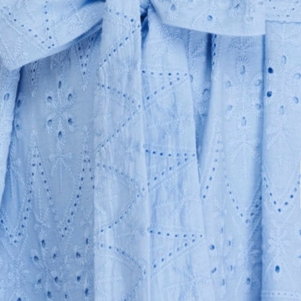 Blue Eyelet Midi Dress - Picture 3 of 5